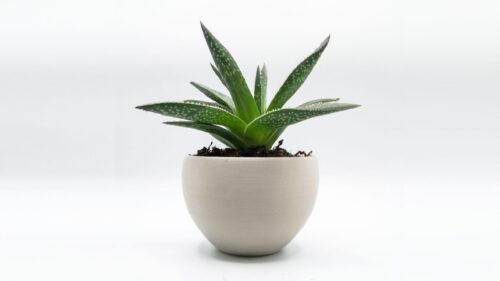 Recreus PLA Purifier 1.75mm