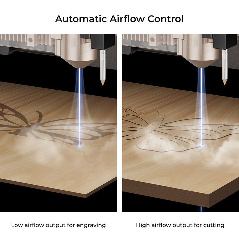 xTool Air Assist